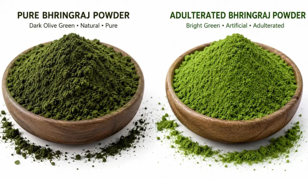 Pure bhringraj powder colour comparison showing authentic dark green vs adulterated bright green